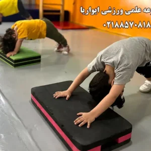 مجموعه-ایواریا