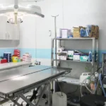 کلینیک دامپزشکی دکترسنایی راد در اسلامشهر