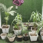 کلینیک دامپزشکی دکترسنایی راد در اسلامشهر