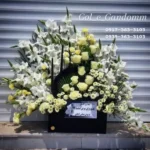 گل فروشی گل گندم بندرعباس