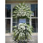 گل فروشی گل گندم بندرعباس