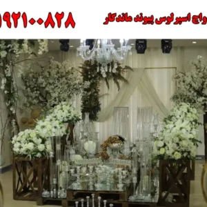 شاخص-ازدواج