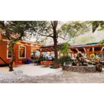 رستوران همسفر جاده چالوس