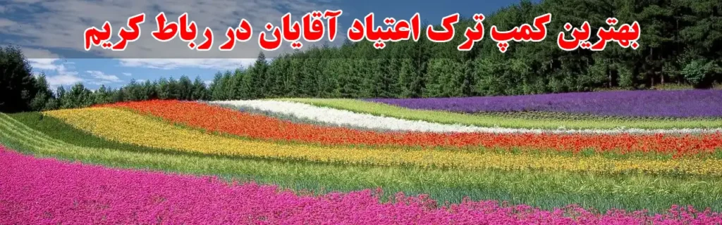 15 تا از بهترین کمپ ترک اعتیاد در رباط کریم