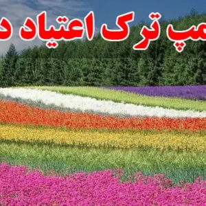 15-تا-بهترین-کمپ-ترک-اعتیاد-در-شهریار