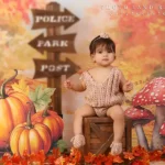 آتلیه عکاسی پاسارگاد فردیس