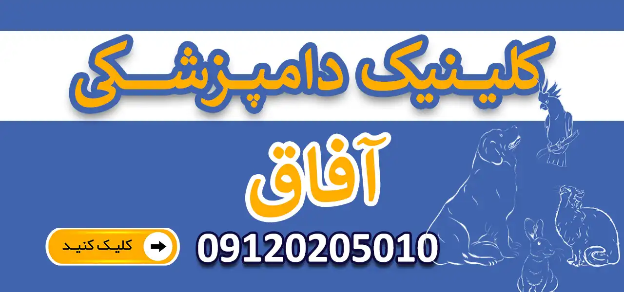 بنر-آفاق-جدید