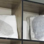 موسسه خدمات پوشاک لیندا در ولی عصر