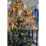 تشریفات شکوه آریا در مرزدارن