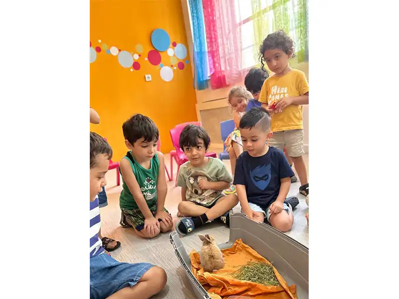 کودکستان و پیش دبستانی ایده در گیشا