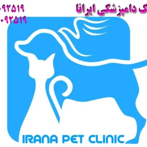 کلینیک-دامپزشکی-ایرانا-در-سعادت-آباد