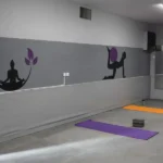 باشگاه ورزشی ماهتیسا در صادقیه