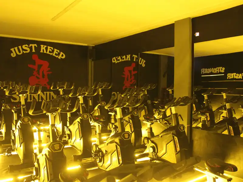 باشگاه ورزشی ماهتیسا در صادقیه