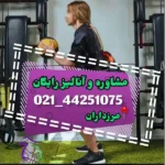 باشگاه ورزشی سون فیت پاور تخصصی ای ام اس در اشرفی اصفهانی
