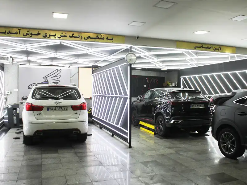 تشخیص رنگ شش پری در شهر زیبا