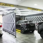 تشخیص رنگ شش پری در شهر زیبا