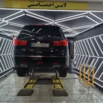 تشخیص رنگ شش پری در شهر زیبا
