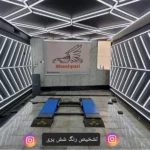 تشخیص رنگ شش پری در شهر زیبا