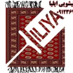 قالیشویی ایلیا درکیانمهر کرج