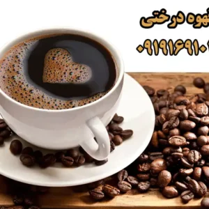 قهوه-درختی