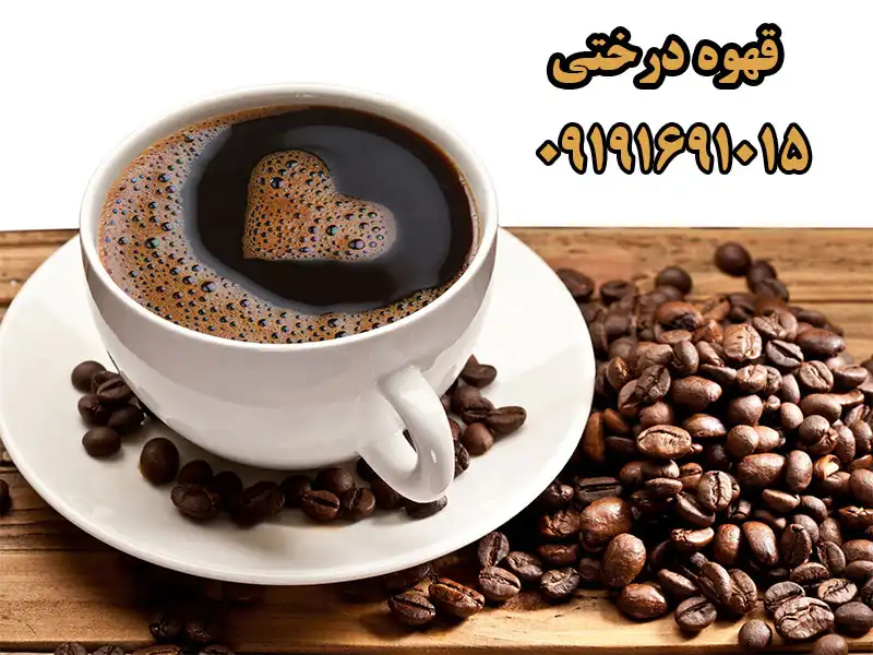 قهوه درختی در گلشهر