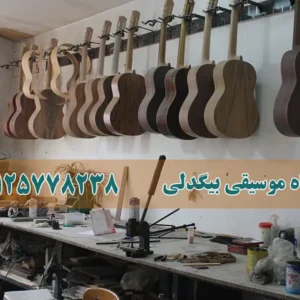 بیگدلی