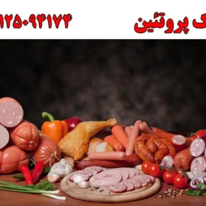 تک پروتئین
