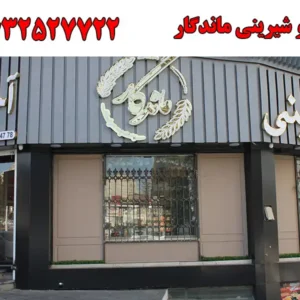 شاخص-ماندگارررر