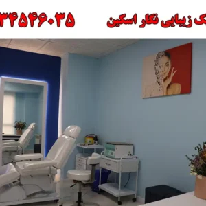 شاخص-نگار-اسکین