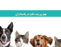 شاخص-پت-شاپ