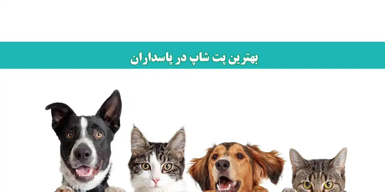 شاخص-پت-شاپ