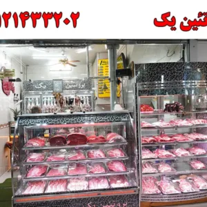شاخص-پروتئین