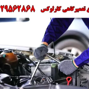 شاخص-کارلوکس