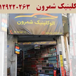 -اتو-کلینیک