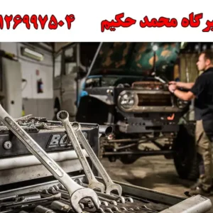 محمد-حکیم