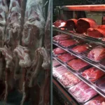 پروتئین یک در جیحون