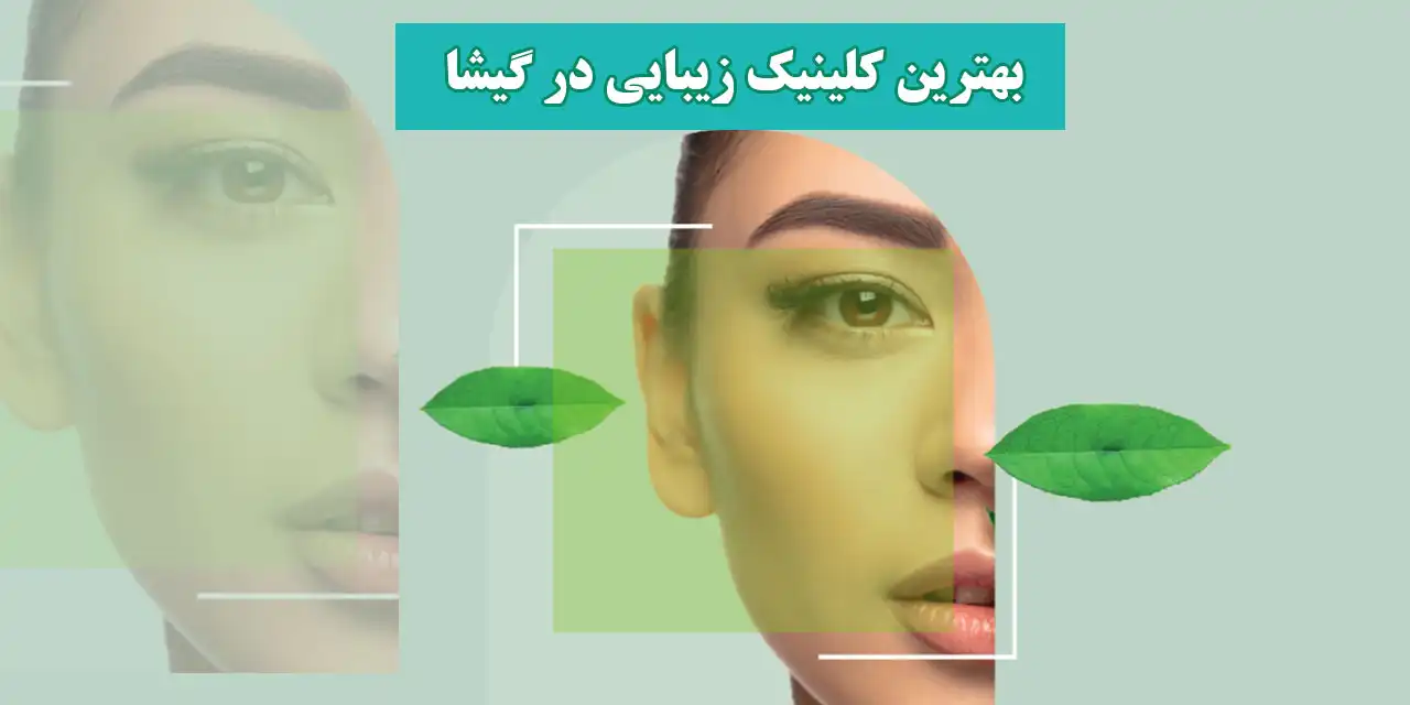گیشا