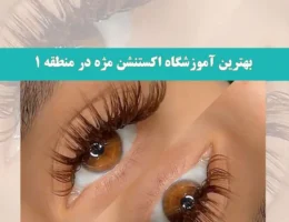 بهترین-آموزشگاه-اکستنشن-مژه-در-منطقه-1