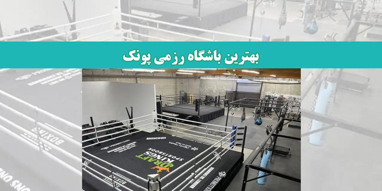 رزمی-شاخص-پونک