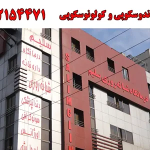 شاخص-آندو