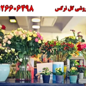 شاخص-آگهی