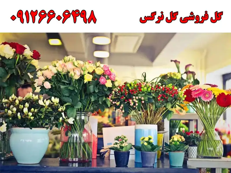 گل فروشی گل نرگس در محمدشهر