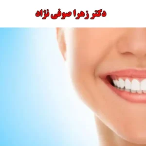 شاخص-صوفی-نژاد