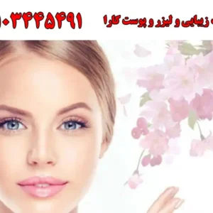 شاخص-کارا