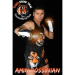 امین حسینیان (مربی کیک بوکسینگ)