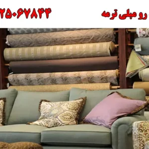 ترمه-شاخص
