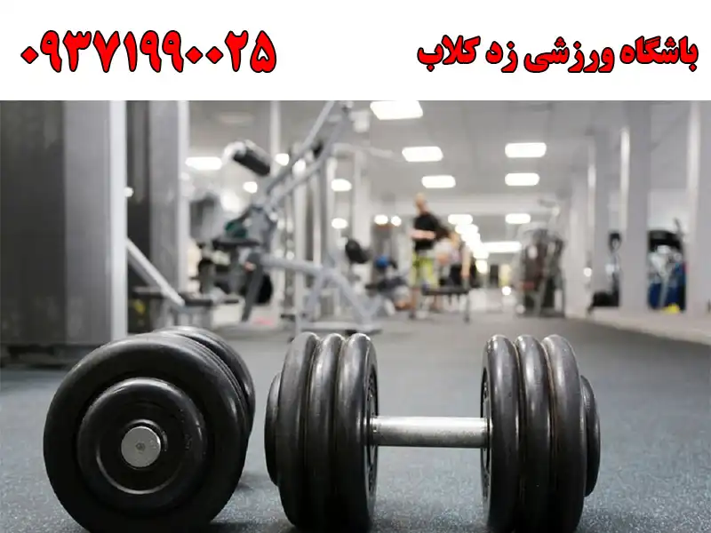 باشگاه ورزشی زد کلاب در پونک