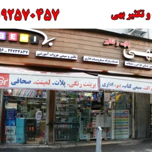 شاخص-بهی