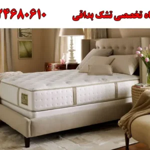 شاخص-تشک