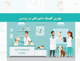 شاخص-دامپزشک